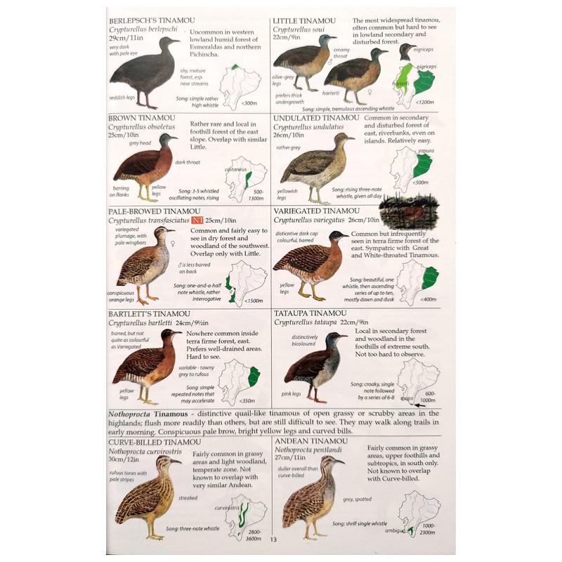 洋書 Cornell University Press Paperback The Birds of Ecuador