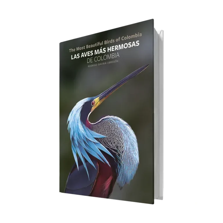 Las Aves más hermosas de Colombia