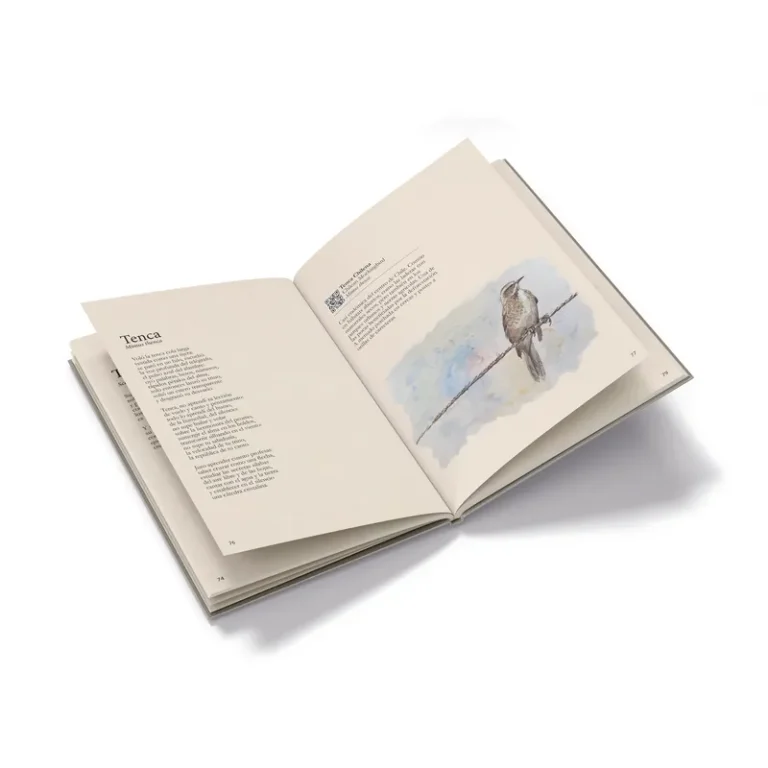 Arte de Pájaros-Pablo Neruda - Image 5