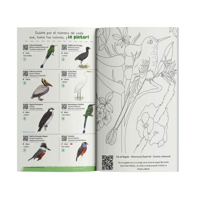 Cartillas para Colorear Aves - Image 2