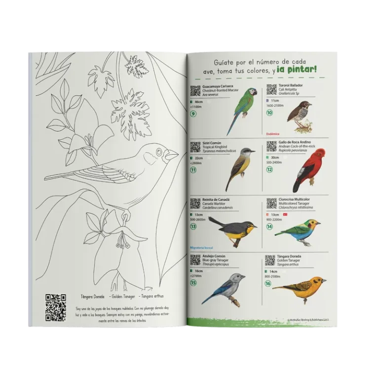 Cartillas para Colorear Aves - Image 3