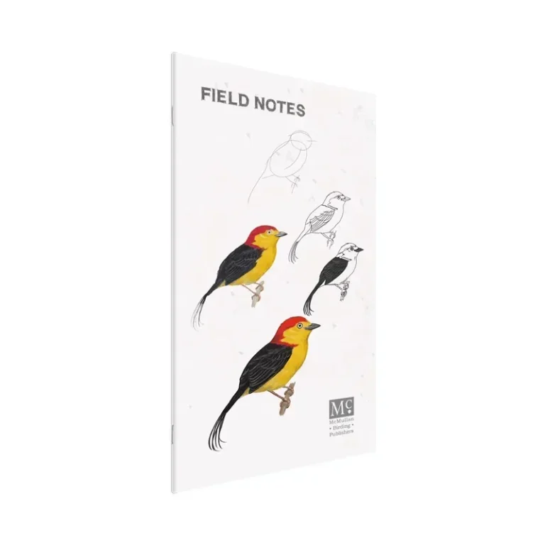 Libreta de Notas para Pajarear en Campo