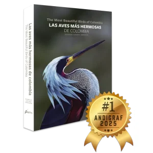 Las Aves más hermosas de Colombia