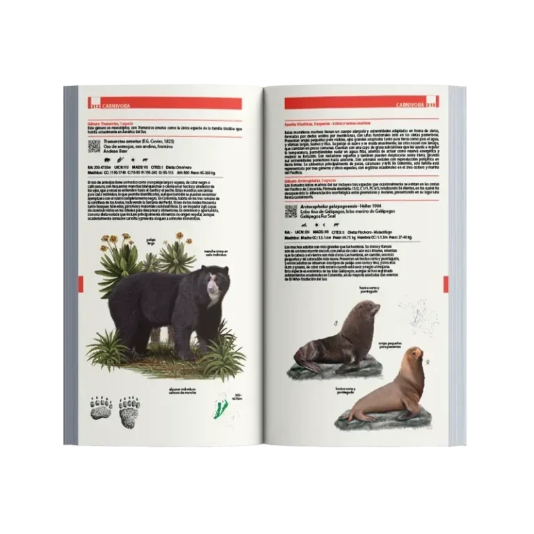 Guía Ilustrada de los Mamíferos de Colombia - Image 2