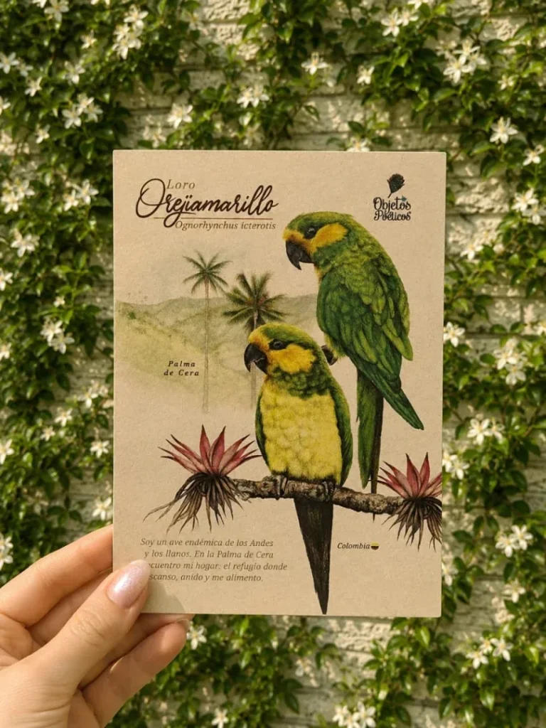Postales con diseños únicos - Image 4