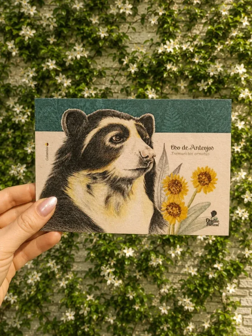Postales con diseños únicos