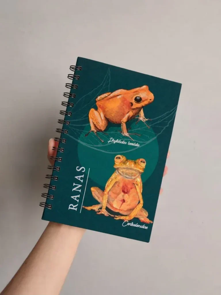 Agendas Argolladas Ilustradas - Image 3