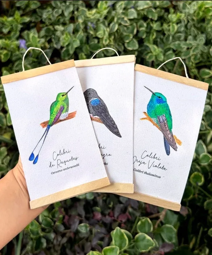 Minihangers de Colibrís de Colombia - Image 2