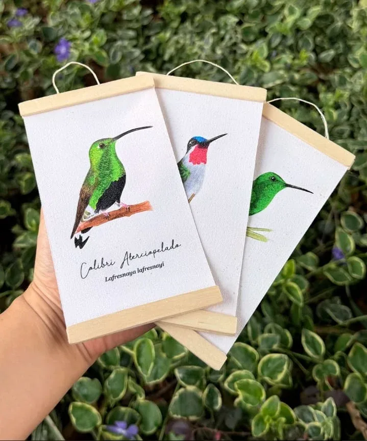 Minihangers de Colibrís de Colombia