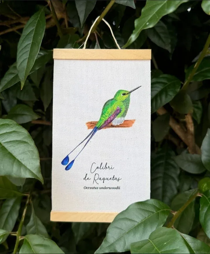 Minihangers de Colibrís de Colombia - Image 7