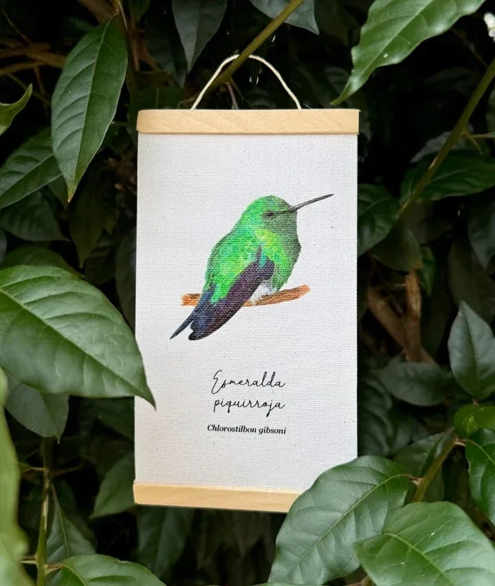 Minihangers de Colibrís de Colombia - Image 6