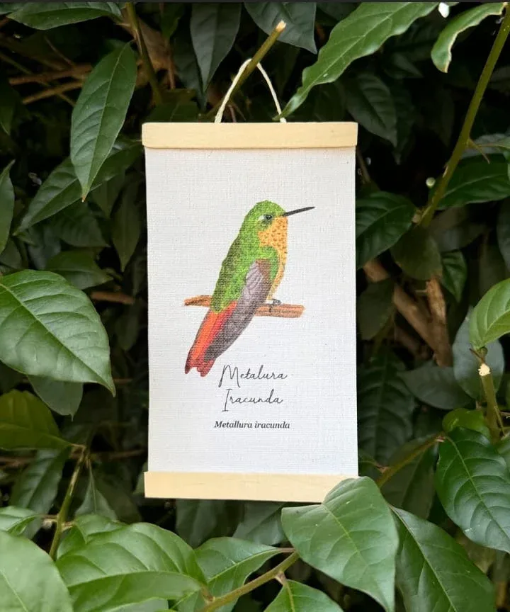 Minihangers de Colibrís de Colombia - Image 16
