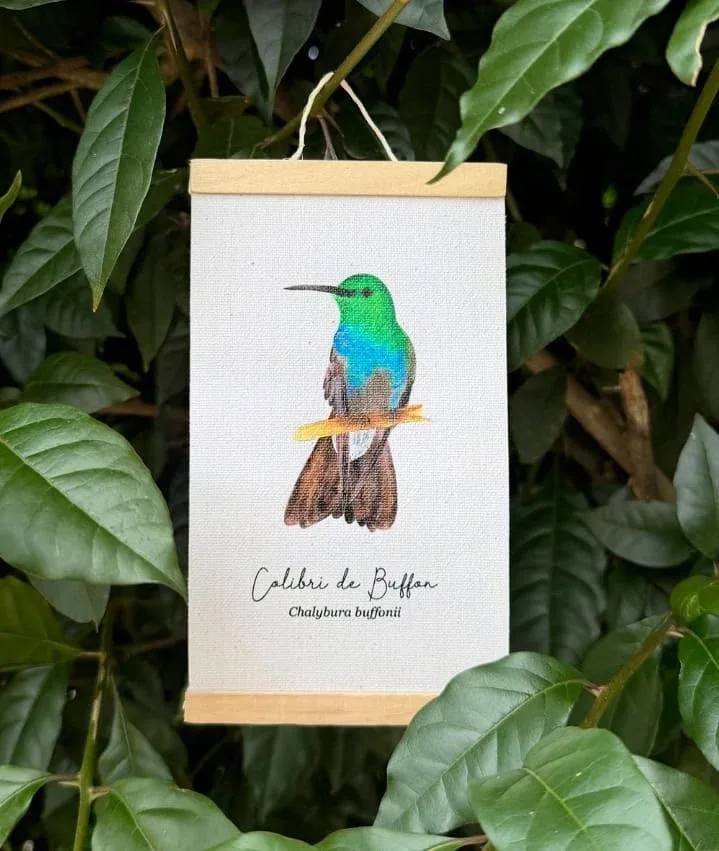 Minihangers de Colibrís de Colombia - Image 15