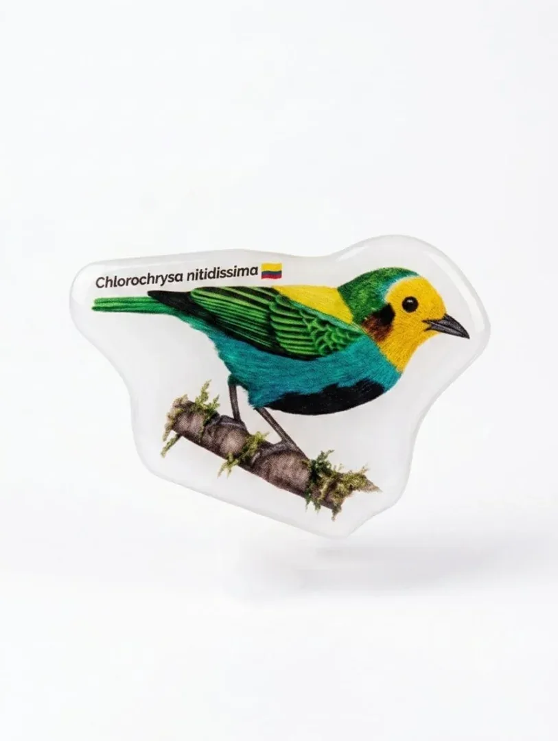 Stickers 3D en Resina - Fauna de Colombia
