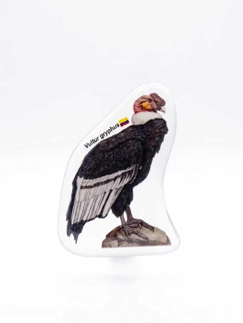 Stickers 3D en Resina - Fauna de Colombia