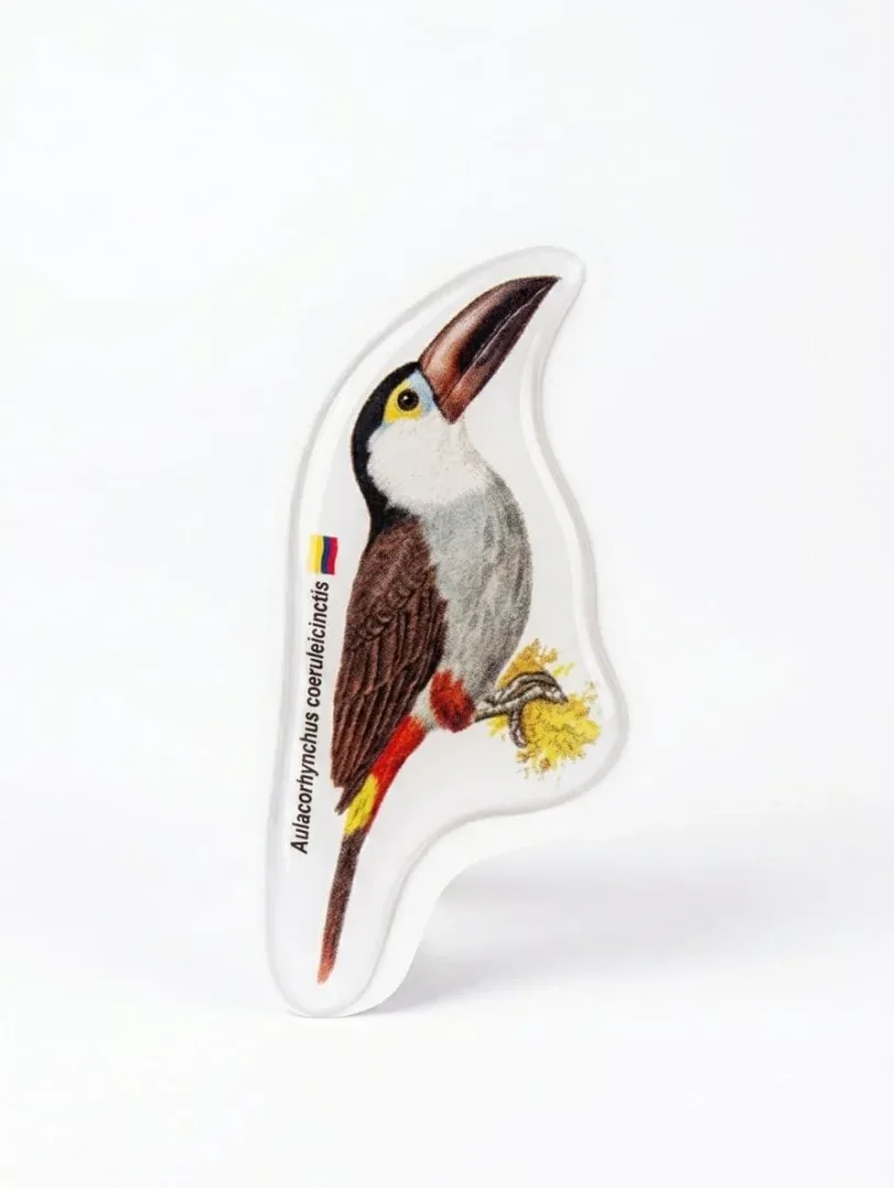 Stickers 3D en Resina - Fauna de Colombia