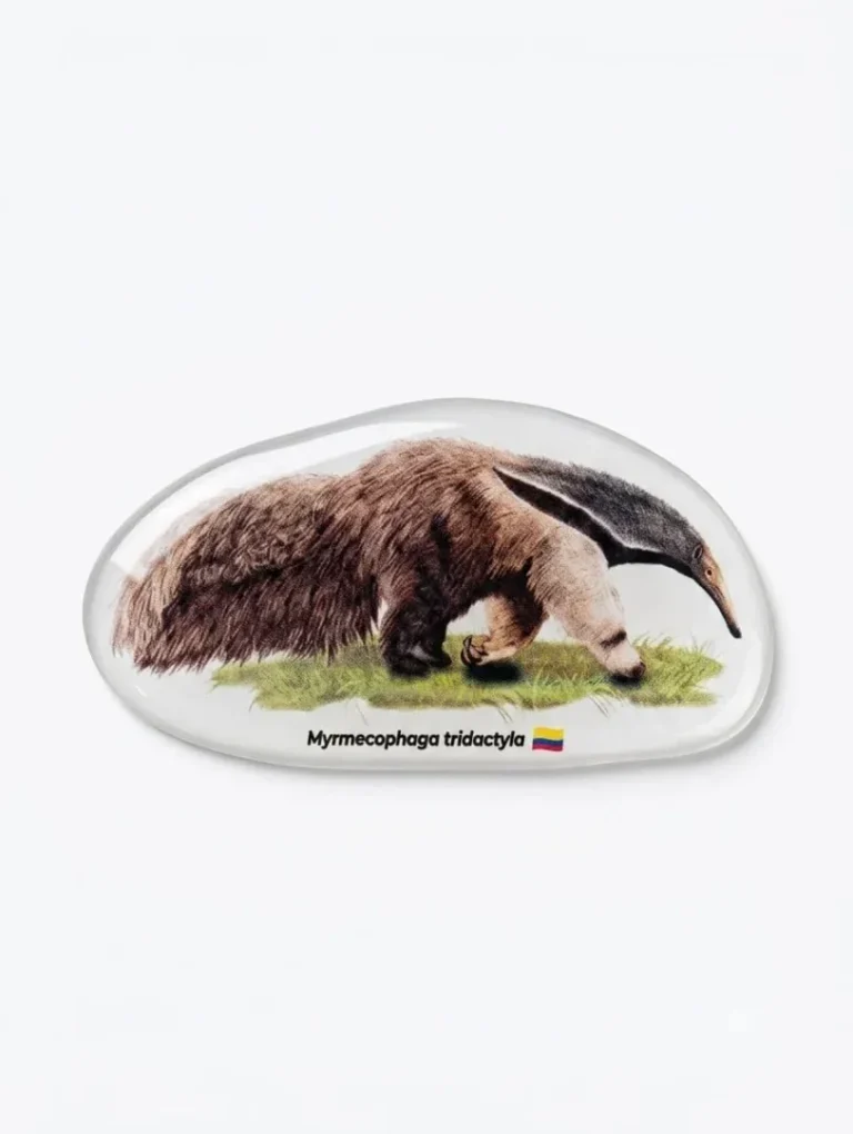 Stickers 3D en Resina - Fauna de Colombia - Image 10