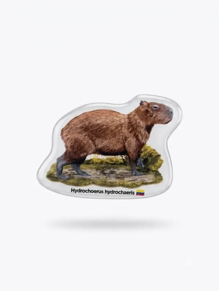Stickers 3D en Resina - Fauna de Colombia - Image 6