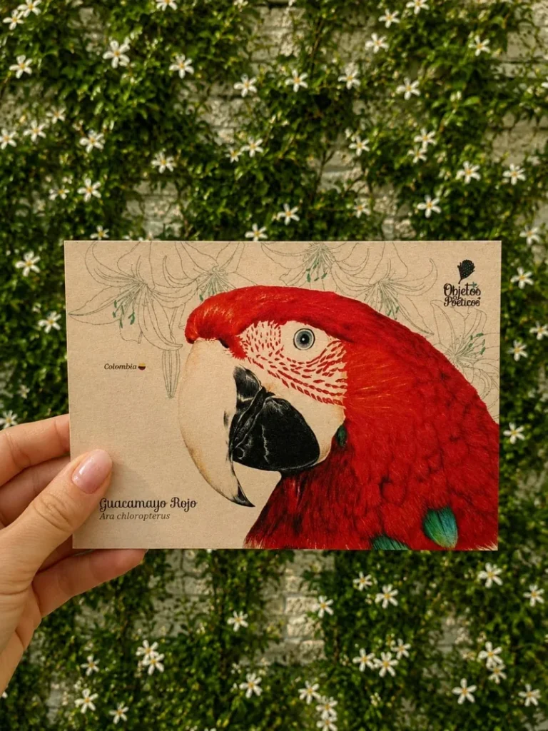 Postales con diseños únicos - Image 16