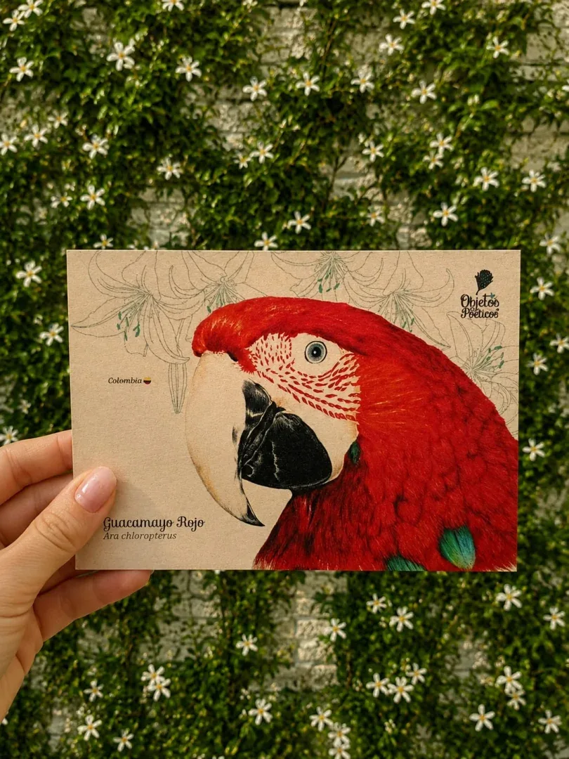 Postales con diseños únicos
