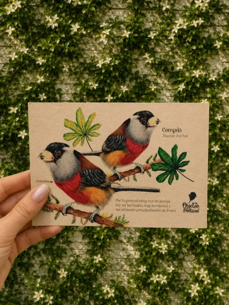 Postales con diseños únicos - Image 18