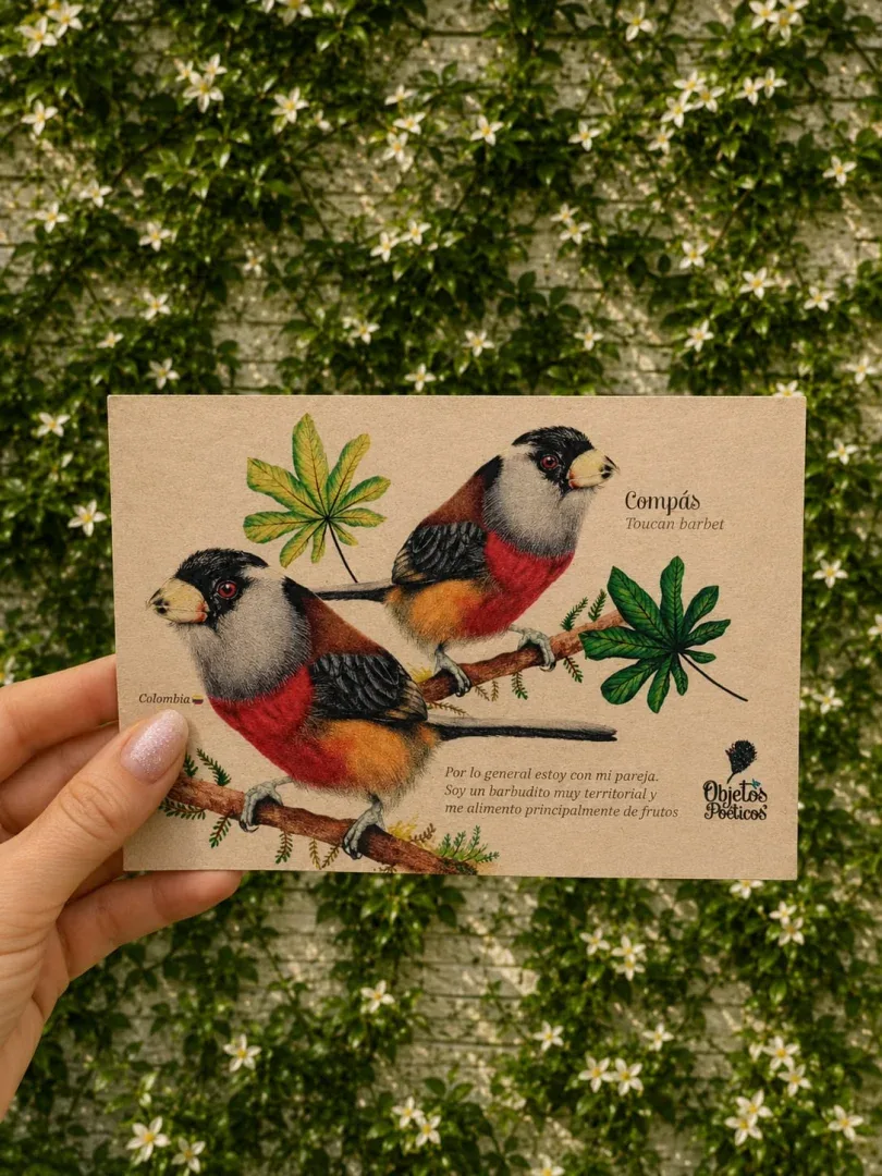 Postales con diseños únicos