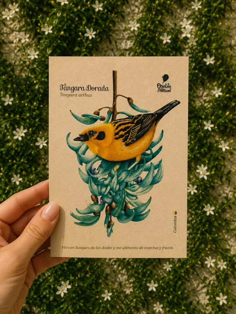 Postales con diseños únicos