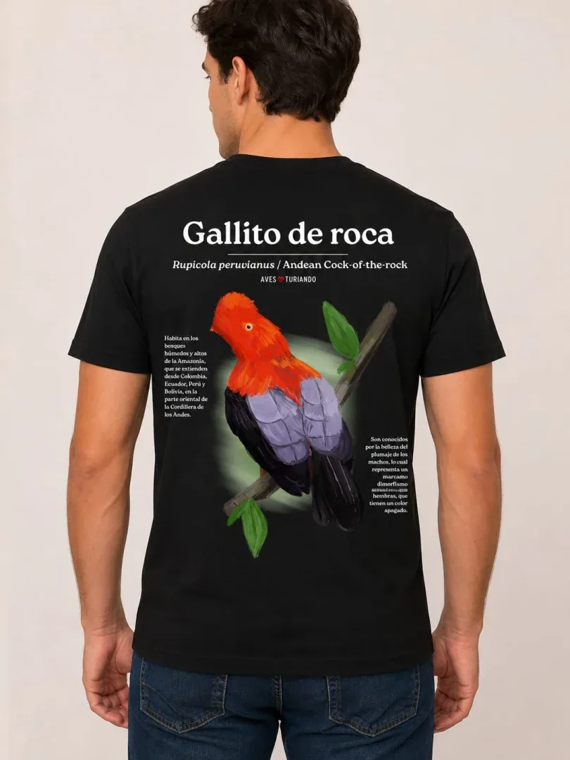 Camisetas Estampadas para Caballero – 100% Algodón