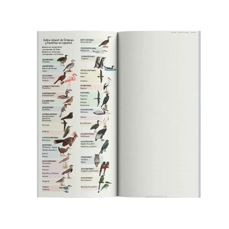 Libreta de Notas para Pajarear en Campo - Image 2