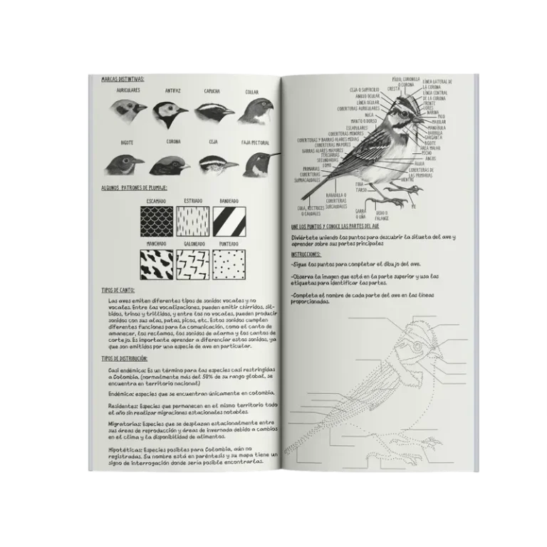 Libreta de Notas para Pajarear en Campo - Image 4