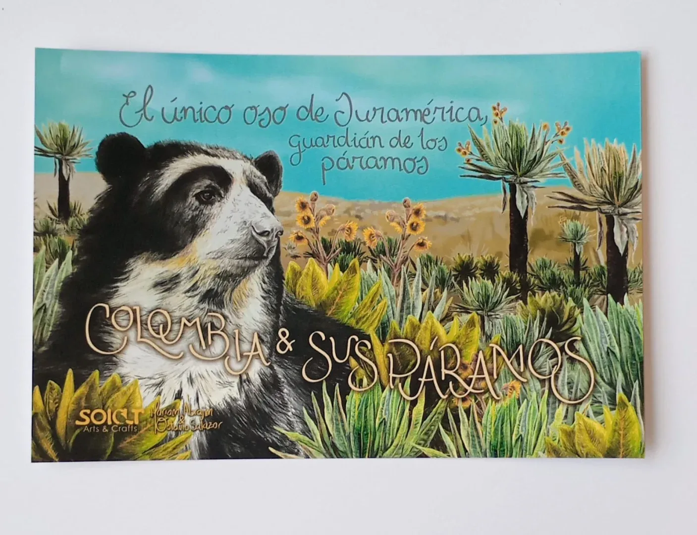 Postales Ilustradas