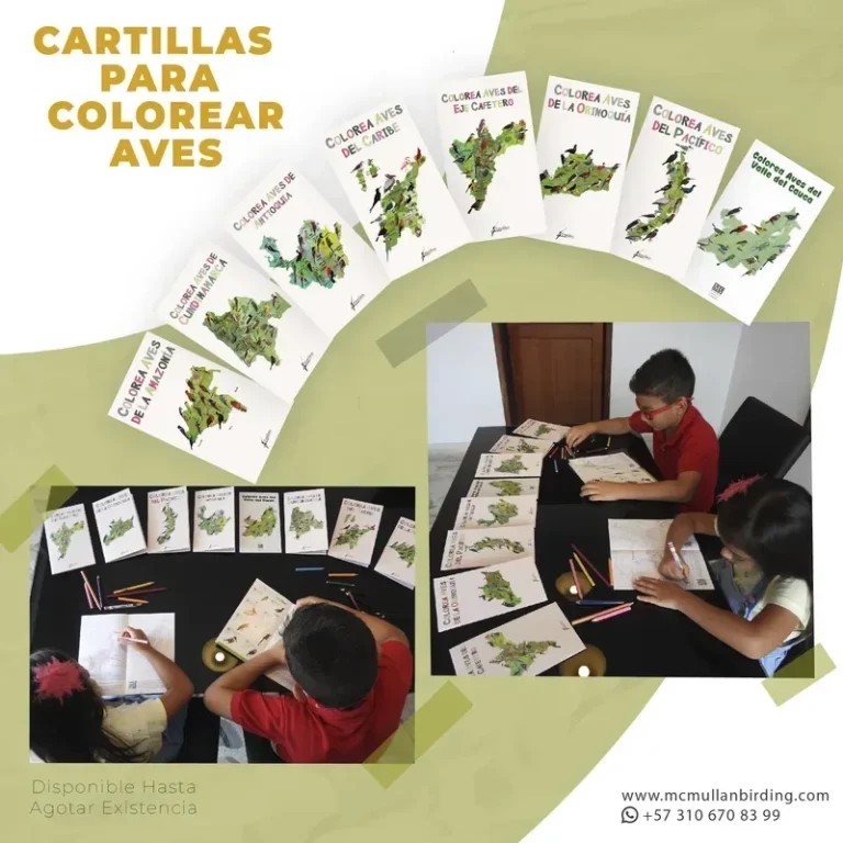 Cartillas para Colorear Aves